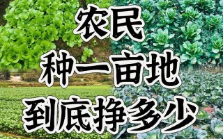 疫情对今年农业，这次疫情对农业有什么影响