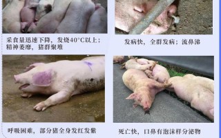 【深圳近期疫情情况,深圳近期疫情情况怎么样】