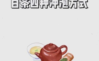 白茶怎么泡才正确方法-寿眉白茶怎么泡才正确方法