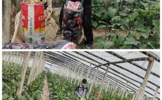 【疫情下积极生产,疫情期间坚持生产】