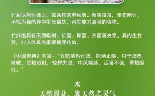 竹盐是什么东西-竹盐是什么东西好吗