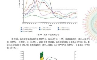 全国疫情统计汇总(全国疫情统计报告)