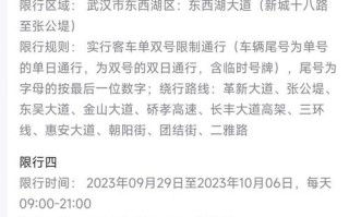 武汉今日限行尾号(武汉今日限行尾号字母代表什么)