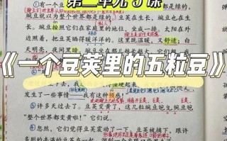 屋顶的水笕是什么-屋顶的水笕是什么意思
