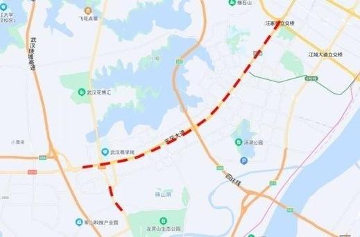 湖北限号吗(湖北限号查询系统)-第3张图片