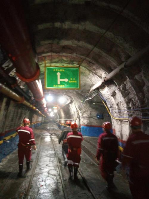 【峰峰限号查询,峰峰限号时间】-第4张图片 【峰峰限号查询,峰峰限号时间】-第4张图片