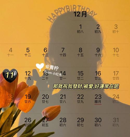 香河机动车限号(香河机动车限号外地车)-第6张图片 香河机动车限号(香河机动车限号外地车)-第6张图片