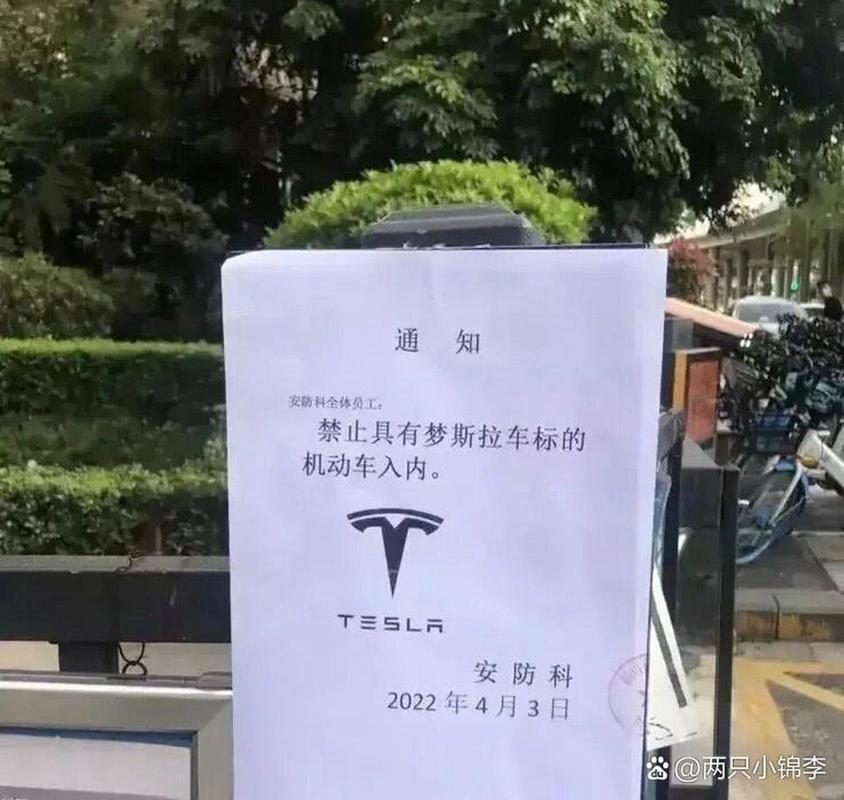 特斯拉不让进政府机关(特斯拉不让进政府机关如何处理)-第1张图片 特斯拉不让进政府机关(特斯拉不让进政府机关如何处理)-第1张图片