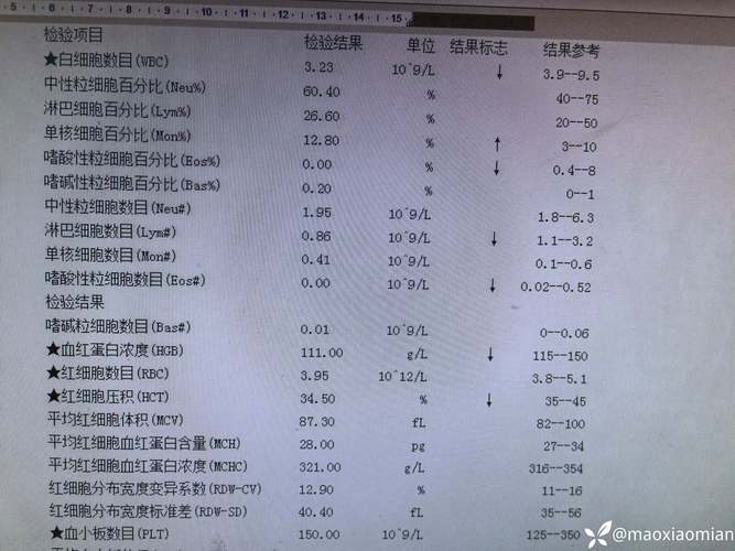 【青岛刚刚发生疫情,青岛刚刚发生疫情了吗】-第5张图片 【青岛刚刚发生疫情,青岛刚刚发生疫情了吗】-第5张图片