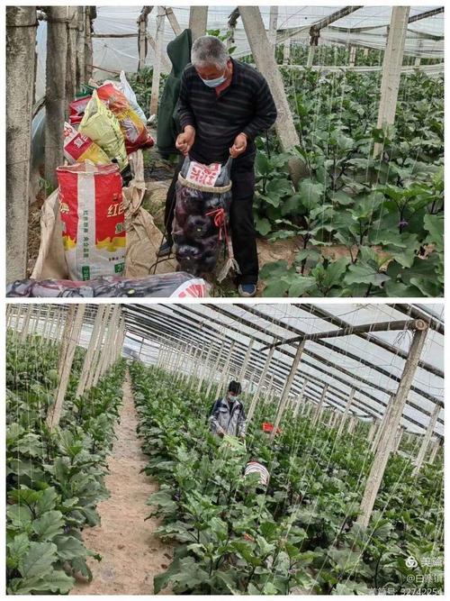 【疫情下积极生产,疫情期间坚持生产】-第2张图片 【疫情下积极生产,疫情期间坚持生产】-第2张图片