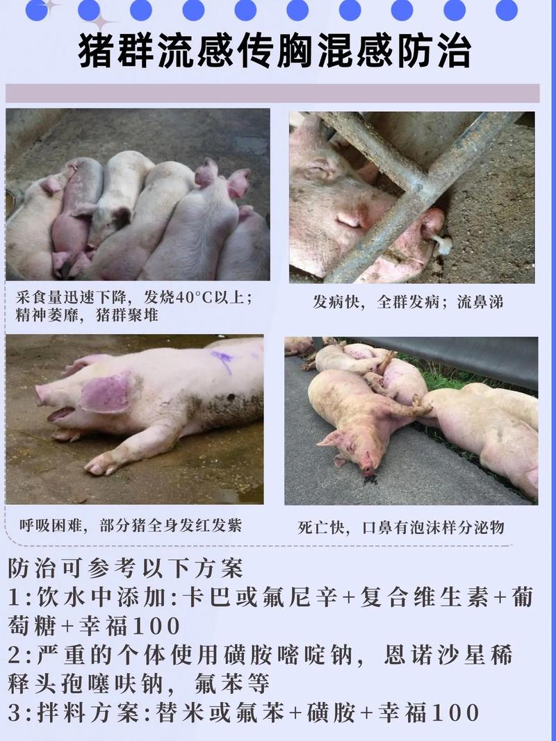 【深圳近期疫情情况,深圳近期疫情情况怎么样】-第1张图片 【深圳近期疫情情况,深圳近期疫情情况怎么样】-第1张图片