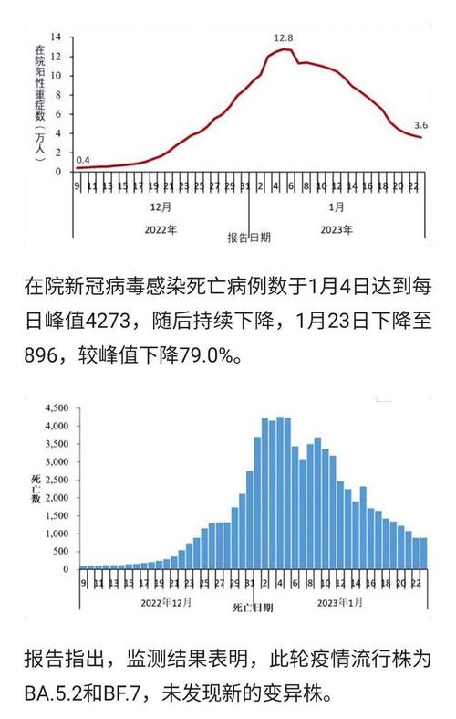 【疫情确诊具体数据,疫情确诊具体数据查询】-第5张图片