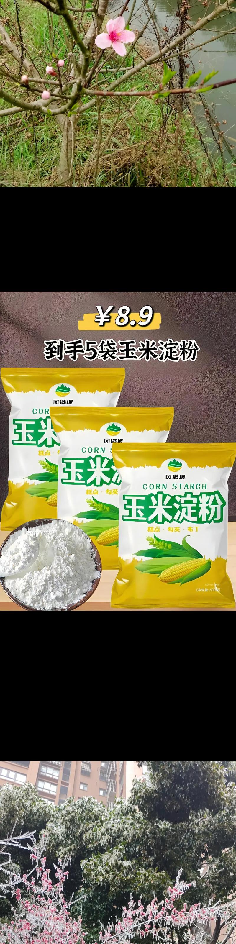 玉米淀粉是什么-玉米淀粉是什么粉-第3张图片 玉米淀粉是什么-玉米淀粉是什么粉-第3张图片