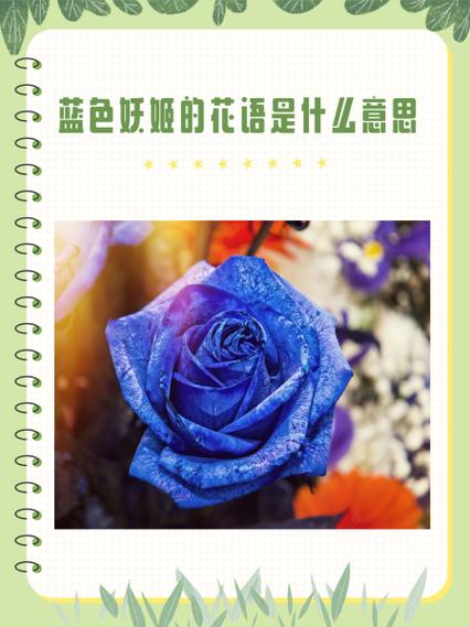 蓝色妖姬是什么梗,蓝色妖姬是什么意思-蓝色妖姬学名叫什么-第2张图片 蓝色妖姬是什么梗,蓝色妖姬是什么意思-蓝色妖姬学名叫什么-第2张图片