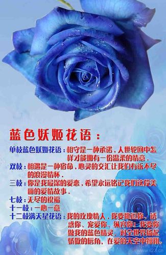 蓝色妖姬是什么梗,蓝色妖姬是什么意思-蓝色妖姬学名叫什么-第5张图片 蓝色妖姬是什么梗,蓝色妖姬是什么意思-蓝色妖姬学名叫什么-第5张图片