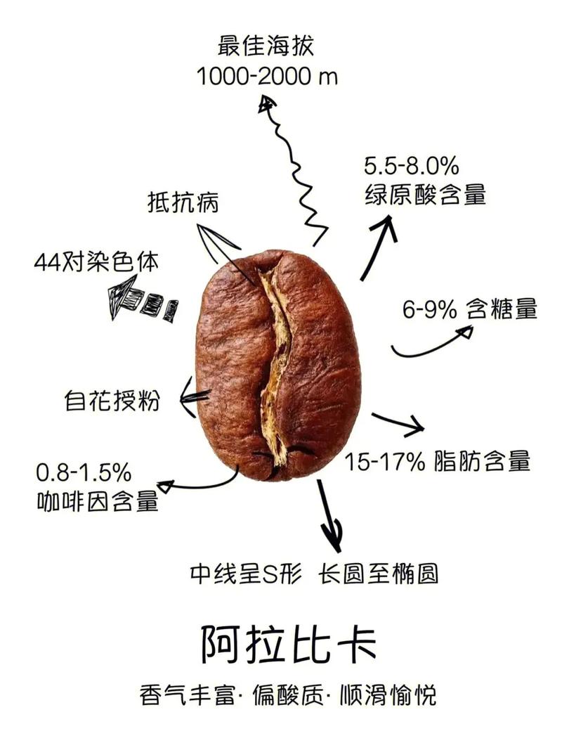 中国99%咖啡产自云南,为什么云南适合种咖啡,云南种植咖啡的区位条件-第2张图片 中国99%咖啡产自云南,为什么云南适合种咖啡,云南种植咖啡的区位条件-第2张图片