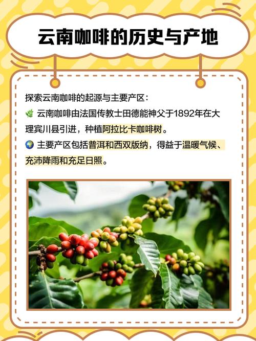 中国99%咖啡产自云南,为什么云南适合种咖啡,云南种植咖啡的区位条件-第5张图片 中国99%咖啡产自云南,为什么云南适合种咖啡,云南种植咖啡的区位条件-第5张图片