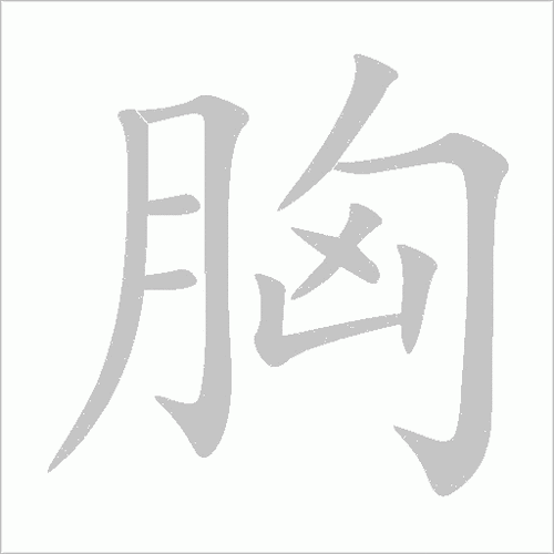 胸的拼音怎么写，胸的解释是什么(胸的拼音怎么打)-第4张图片
