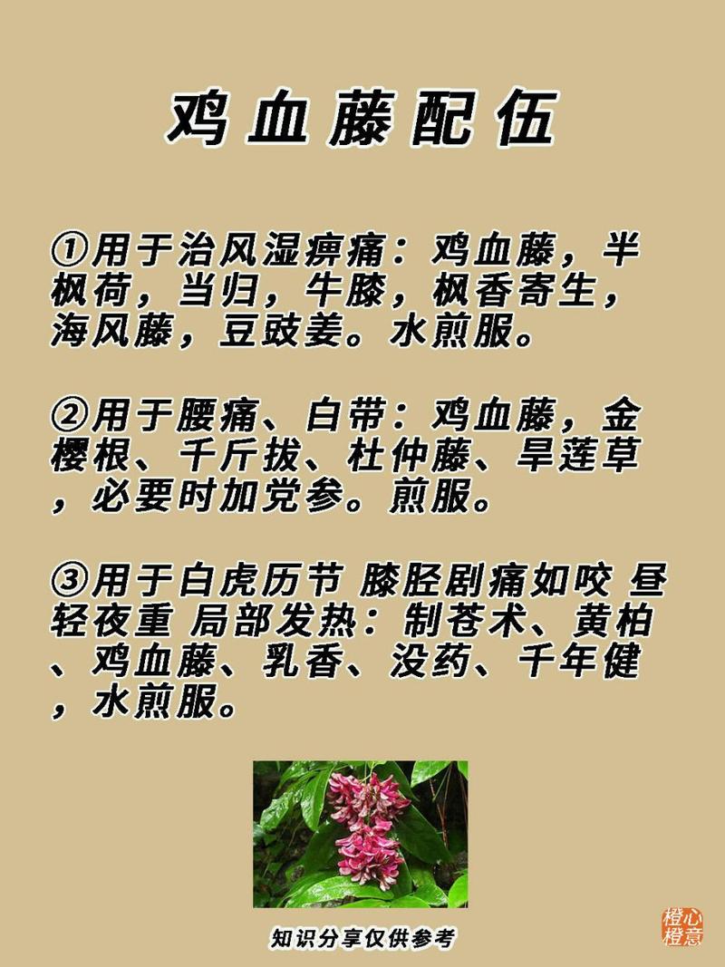 鸡血藤的食用方法,鸡血藤的食用方法大全-第5张图片 鸡血藤的食用方法,鸡血藤的食用方法大全-第5张图片