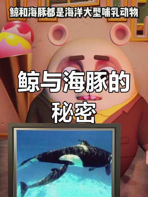 鲸鱼属于鱼类吗?为什么(鲸鱼属于鱼类吗?为什么不能吃)-第8张图片 鲸鱼属于鱼类吗?为什么(鲸鱼属于鱼类吗?为什么不能吃)-第8张图片